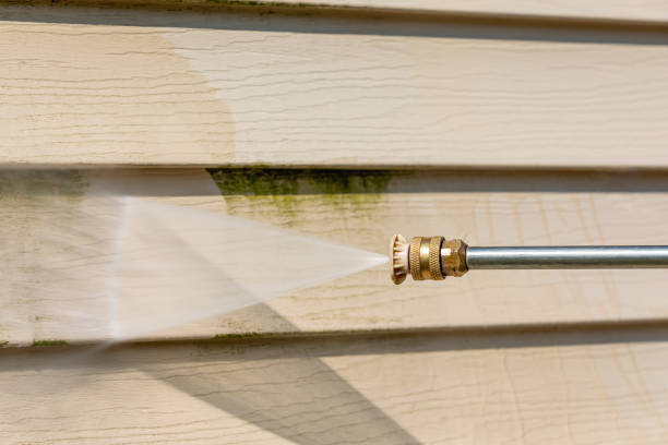 Best Residential Pressure Washing Services  in Laguna Beach, FL