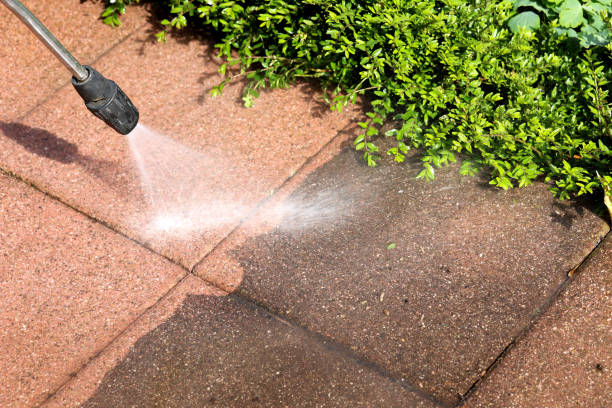 Best Exterior Home Cleaning  in Laguna Beach, FL